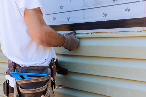 Affordable Vinyl Siding solutions in Braddock, PA